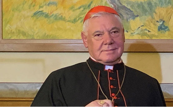 Attaques contre Benoît XVI: enfin, le cardinal Müller…