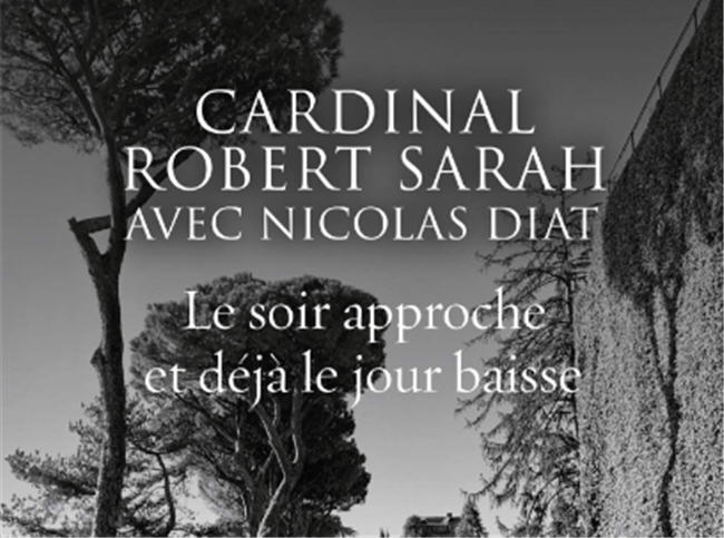 Cardinal Sarah (suite)