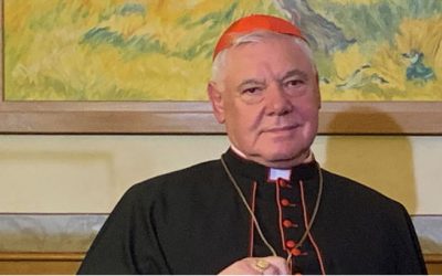 Attaques contre Benoît XVI: enfin, le cardinal Müller…