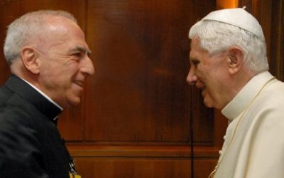 Querida Amazonia: la cacophonie des réactions