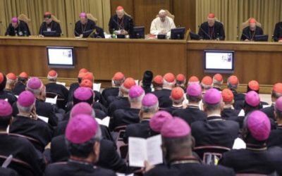 Le Synode de la discorde