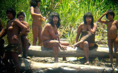 Décidément, l&rsquo;Amazonie est loin d&rsquo;être le paradis tant vanté…