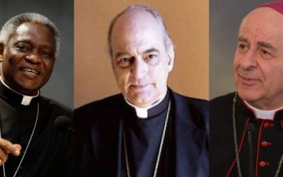 Turkson-Sorondo-Paglia