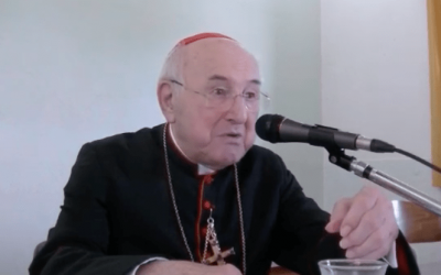 Cardinal Brandmüller: plaidoyer pour le concile