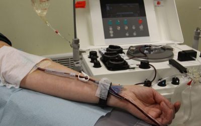 Covid, plasmathérapie: l&rsquo;autre traitement snobé