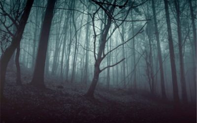 Le confinement: un remède pire que le mal