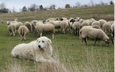 Journalistes: le confort du conformisme contre le devoir d&rsquo;information