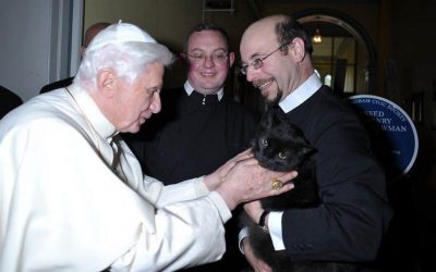 Juste quelques moments de tendresse